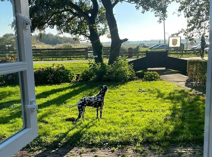 شاليه Bilderdam *